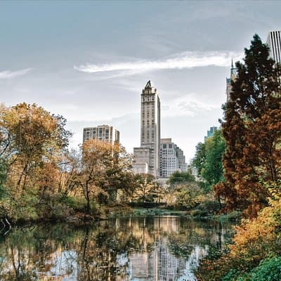 Central Park New York Guided Walking Tour Semi-Private 12ppl Max 2