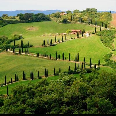 Private Siena and San Gimignano Tour with Wine Tasting From Rome