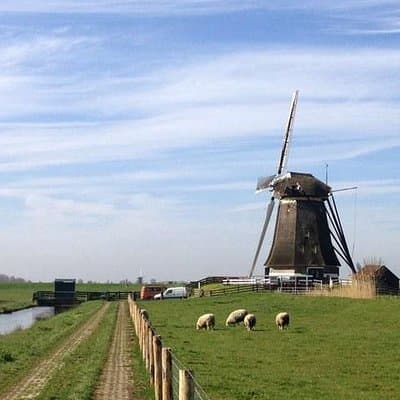 Private Guided Full-Day Customizable Tour of Holland from Amsterdam