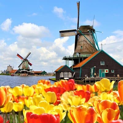 Amsterdam: Keukenhof, Zaanse Schans Windmills, Cheese Guided Tour 4