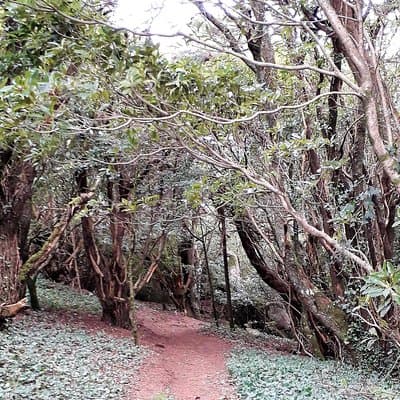Private Half Day Hiking in Sintra-Cascais Natural Park 2