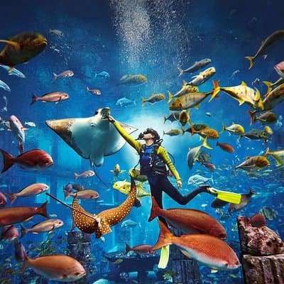 Dubai Lost Chambers Dive Explorer (Certification Required)