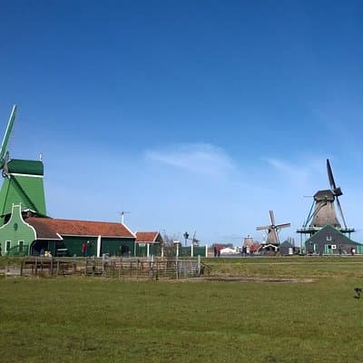 Zaanse Schans Windmills Private Tour from Amsterdam Airport