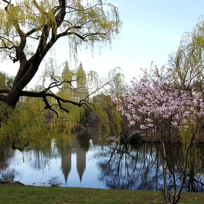 Private Scenic Central Park Walking Tour 2