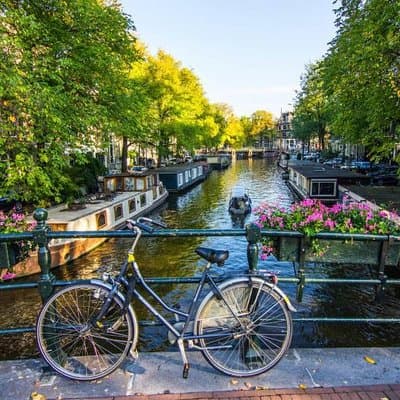 Best of Amsterdam: small-group walking tour (TOP RATED)