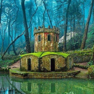 Sintra , Pena Palace , Cabo da Roca & Cascais Small Group Tour 3