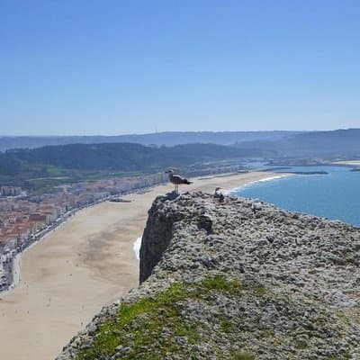 Fátima – Batalha – Nazaré – Óbidos: FAITH, HISTORY, AND BEAUTY 5