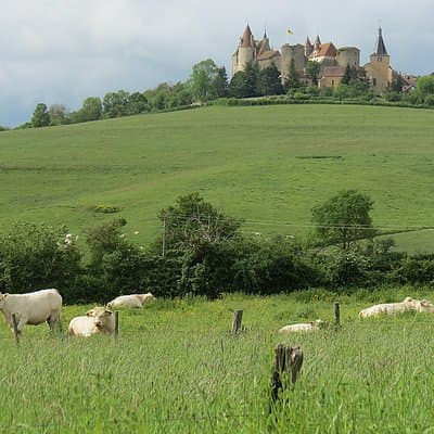 Private Wine Tour to Burgundy Region from Paris 5