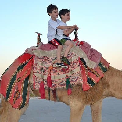 Dubai: Morning Desert Safari 4