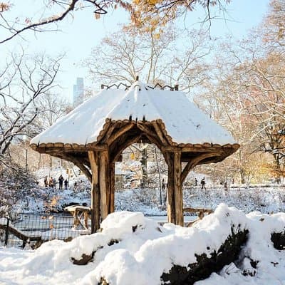 Central Park Guided Walking Tour in French 3