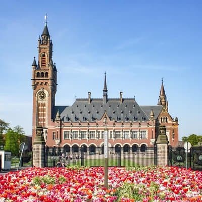 Tour in Spanish to Rotterdam and The Hague 3