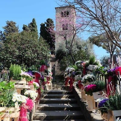 Private Customized Barcelona Tour by Mercedes VIP Bus and Personal Expert Guide 4
