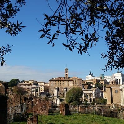 Colosseum and Roman Forum Private Tour led by an archaeologist 2