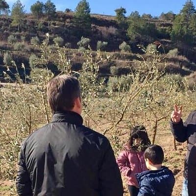 Private Oil Tasting Tour 4