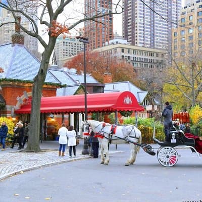 Horse Carriage Tour in New York City's Central Park Small Loop 3