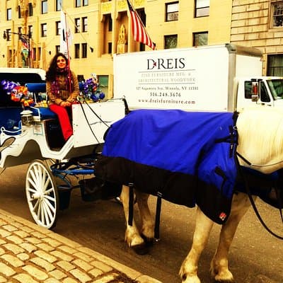 Horse Carriage Tour in New York City's Central Park Small Loop 2