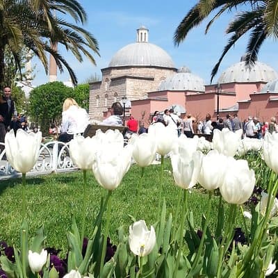 Istanbul Delights: A Journey Through Flavor and History 4