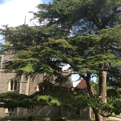 The Roman City of St Albans Private Tour 4