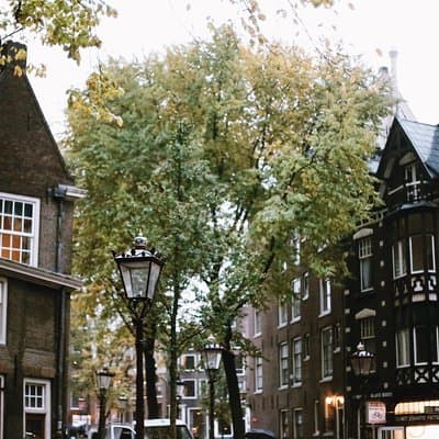 Amsterdam City Center & History - Exclusive Guided Walking Tour 4