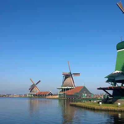Keukenhof's Tulips and Windmills Small-Group Tour from Amsterdam 3