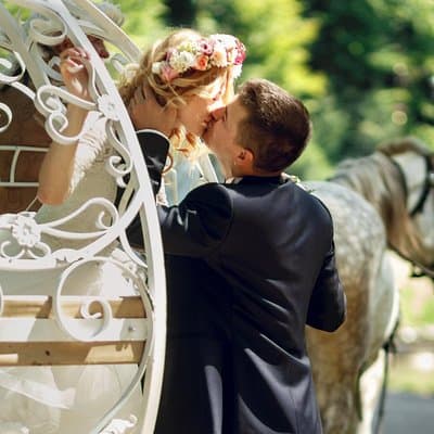 Romantic Proposal Carriage Tour in Central Park
