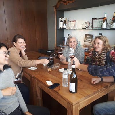 Day trip Lisbon Wine Tasting - Private tour 4