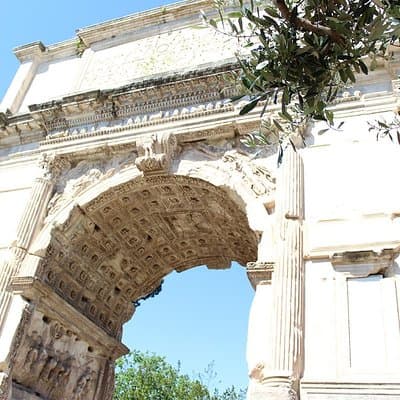 Rome Private Tour: Colosseum Forum & City Highlight 2