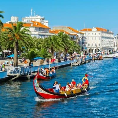 Explore Porto & Aveiro within Riverboat Cruises - Private Full Day Tour from Lisbon with Lunch 2
