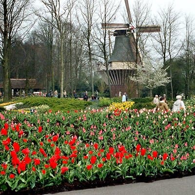 Private Day Trip to Keukenhof Gardens with Entrance Tickets 2
