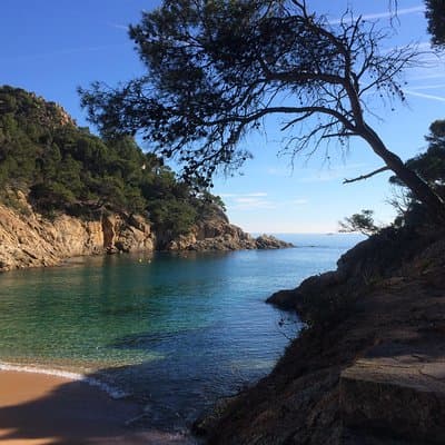 Costa Brava Hike & Tossa de Mar: Small Group Tour from Barcelona 3