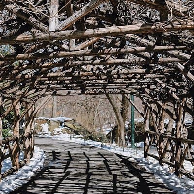 Central Park New York - Exclusive Guided Walking Tour 3