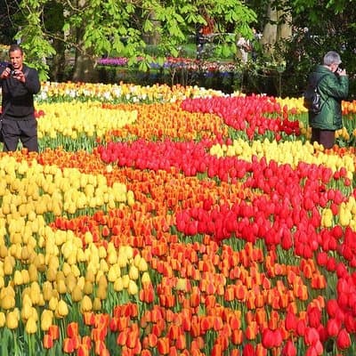 7 Day Taste of Central Europe Tour Germany, Netherlands, France, Belgium 2