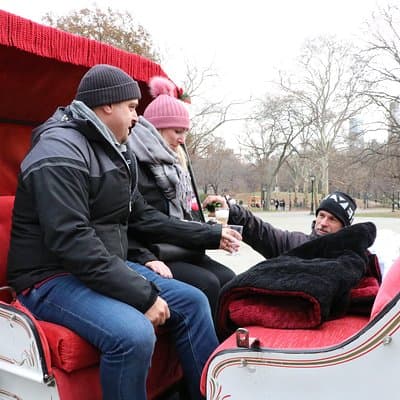 Romantic Proposal Carriage Tour in Central Park 4