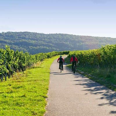 From Barcelona: E-Bike Tour in the vineyards with 2 Wineries 3