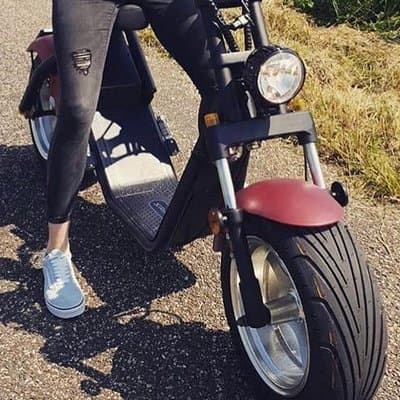 E-scooter rental Volendam - Countryside of Amsterdam 5