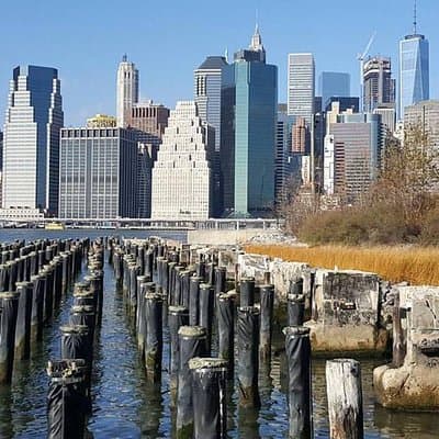 Private Brooklyn Walking Tour: Brooklyn Bridge DUMBO and Brooklyn Heights 4