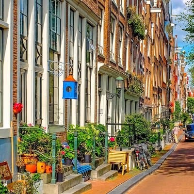 Private Tour: Amsterdam City Walking Tour and Canal Cruise 5