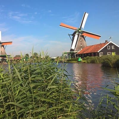 Zaanse Schans Windmills, Clogs and Dutch Cheese Small-Group Tour from Amsterdam 2