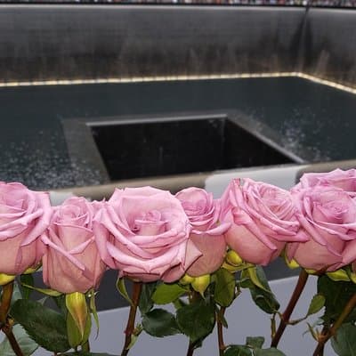 9/11 Memorial at World Trade Center and Financial District Walking Tour 5