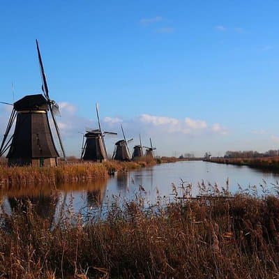 Kinderdijk private tour WINDMILLS in luxury Jaguar S Type 4