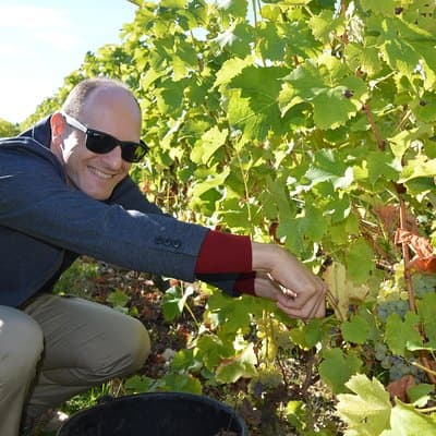 Paris Wine Day Tours exclusive Champagne tour incl. 3 visits 3