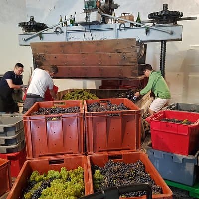 Paris Wine Day Tours exclusive Champagne tour incl. 3 visits 2