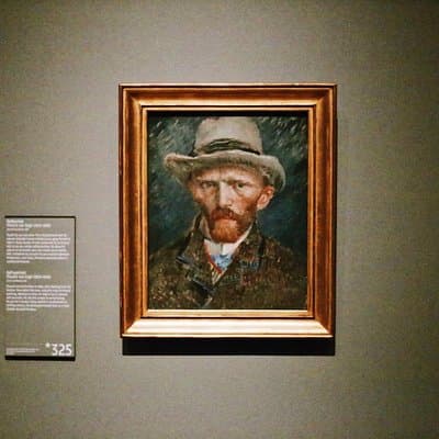 Van Gogh & Rijksmuseum w/ Reserved Entry Exclusive Guided Tour 4
