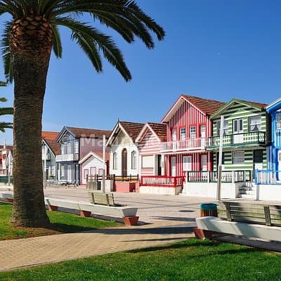 Explore Porto & Aveiro within Riverboat Cruises - Private Full Day Tour from Lisbon with Lunch 5