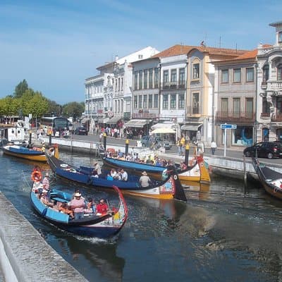 Explore Porto & Aveiro within Riverboat Cruises - Private Full Day Tour from Lisbon with Lunch 3