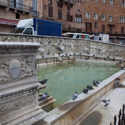 Siena and San Gimignano Day Tour from Rome 5