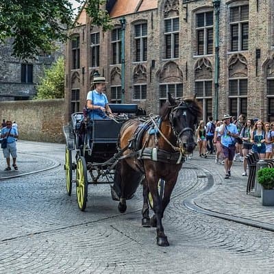 Private Transfer from Amsterdam to Bruges 2