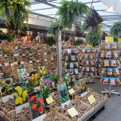 This is Amsterdam: Highlights and Introduction Tour (MUST DO) 5