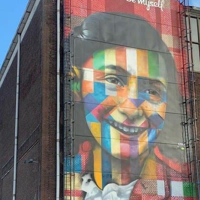 Amsterdam City & Countryside Tour: The Best of both Worlds 4