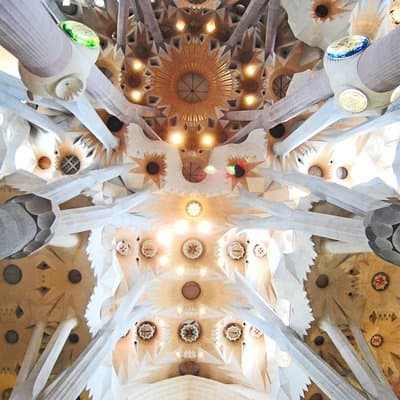 Park Güell and Sagrada Familia Private Tour 5